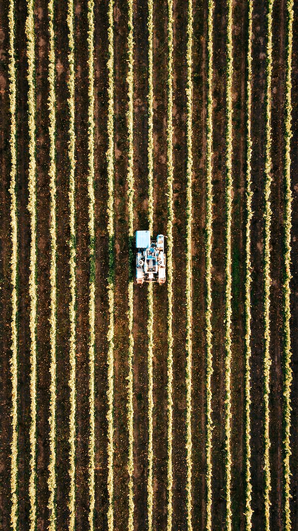 Visão superior de um campo de plantação com uma máquina ao centro